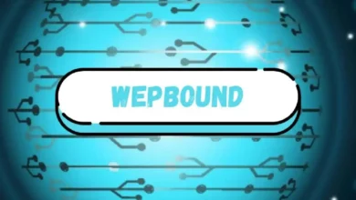Wepbound Decoded: The Next Frontier in Weight Loss Science
