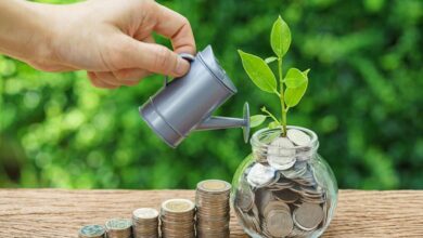 Discover the Power of Smart Investing with LessInvest.com