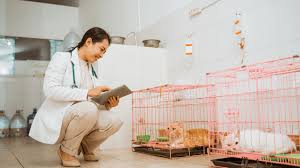 How to Cancel Game Mopfell78