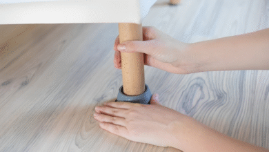 How to Get Rid of Bed Bugs on Couch