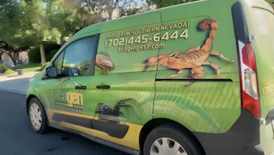 Las Vegas Scorpion Control