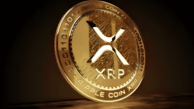 XRP Price Prediction $500